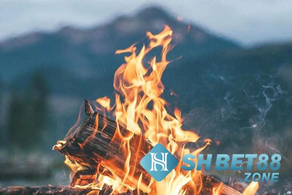 Nằm mơ thấy lửa đánh con gì? Điềm lành hay dữ? 6 Chiêm bao thấy mình đang đốt lửa