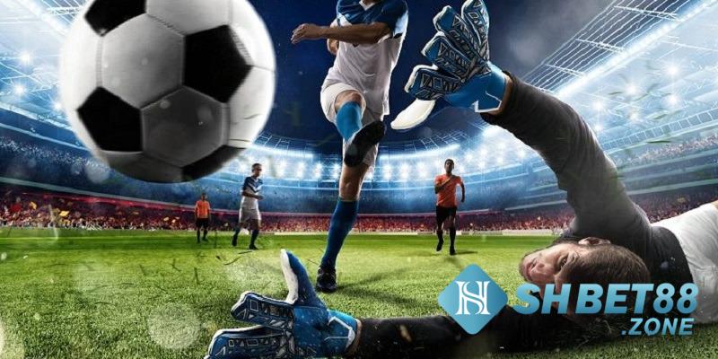 Sảnh Saba Sports Shbet có gì hấp dẫn người chơi 8 Câu hỏi thường gặp khi tham gia chơi sảnh Saba Sports tại Shbet