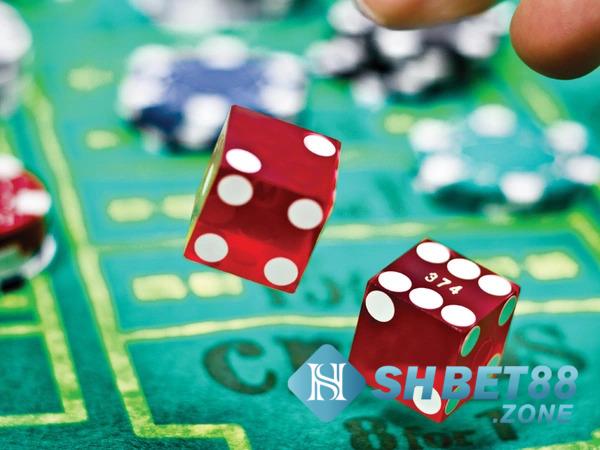 Tìm hiểu cách chơi xí ngầu cơ bản mà hiệu quả 7 Cược bộ đôi đồng nhất