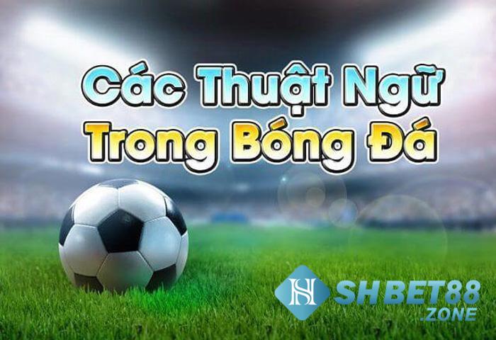 Thuật ngữ cá độ bóng đá - Những điều có thể tân thủ chưa rõ 6 cac thuat ngu ca do bong da khac cuoc thu can biet