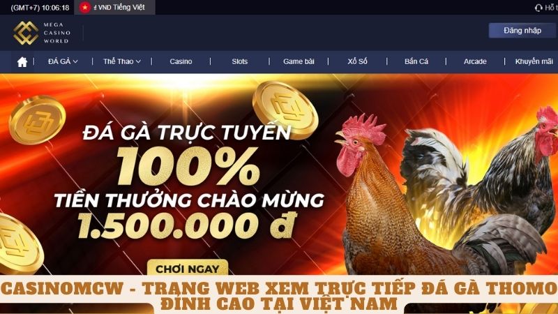 Casinomcw - Trang Web Xem Trực Tiếp Đá Gà Thomo Đỉnh Cao Tại Việt Nam 6 Tổng quan về nhà cái cá cược đá gà trực tuyến casinomcw