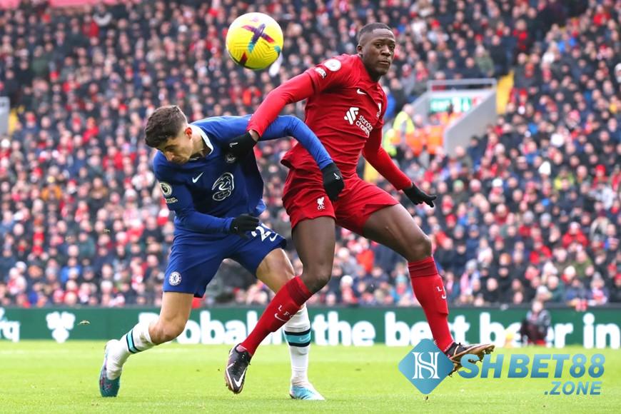 Thuật ngữ cá độ bóng đá - Những điều có thể tân thủ chưa rõ 4 Thuật ngữ cá độ bóng đá xuất hiện trong kèo châu Á