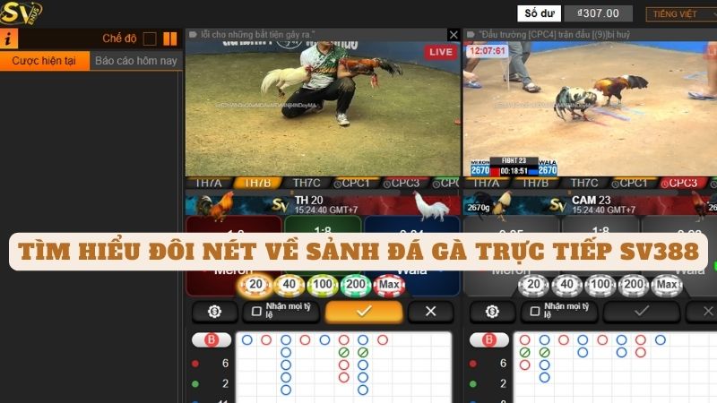 Đá Gà Trực Tiếp Tại Mcw - Trải Nghiệm Cá Cược Độc Đáo 9 Tìm hiểu đôi nét về sảnh đá gà trực tiếp SV388