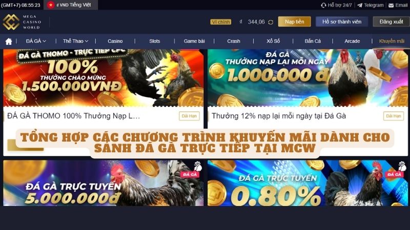 Đá Gà Trực Tiếp Tại Mcw - Trải Nghiệm Cá Cược Độc Đáo 14 Tổng hợp các chương trình khuyến mãi dành cho sảnh đá gà trực tiếp tại mcw
