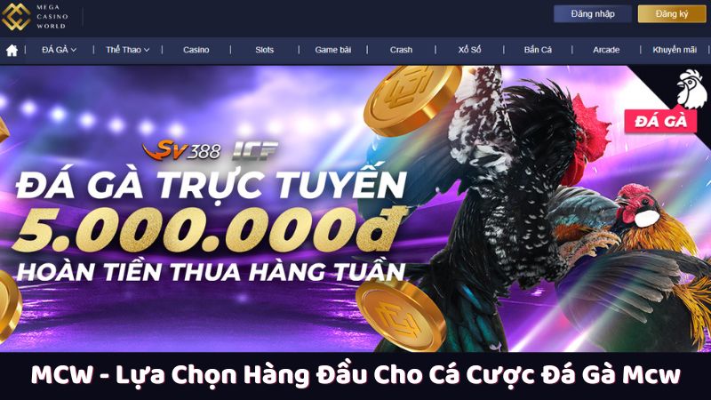 Đá Gà MCW - Lựa Chọn Hàng Đầu Cho Cá Cược Đá Gà 5 Sức hút của nhà cái MCW là gì?